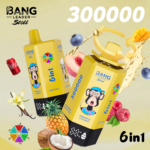 Bang Leader Stoll 300K 6w1 - zdjęcie produktu i warianty smakowe