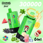 Bang Leader Stoll 300K 6w1 - zdjęcie produktu i warianty smakowe