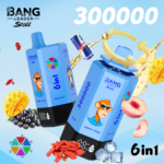 Bang Leader Stoll 300K 6w1 - zdjęcie produktu i warianty smakowe