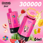 Bang Leader Stoll 300K 6w1 - zdjęcie produktu i warianty smakowe