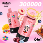 Bang Leader Stoll 300K 6w1 - zdjęcie produktu i warianty smakowe