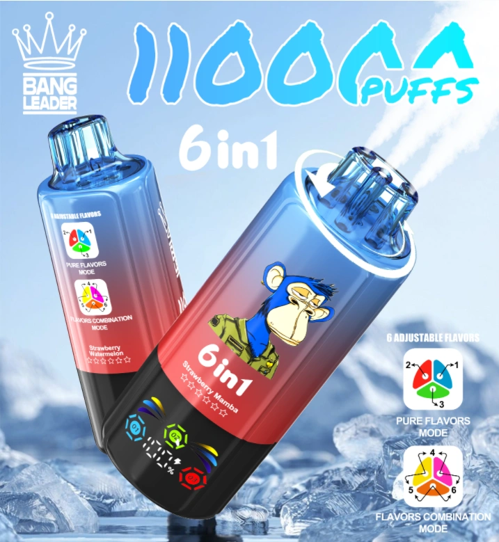 Bang-Leader-Vapes-110000-Puffs-Factory-Price