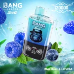Bang Leader Stoll 120K 2w1 - zdjęcie produktu i warianty smakowe