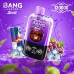 Bang Leader Stoll 120K 2w1 - zdjęcie produktu i warianty smakowe