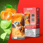 JNR Falcon 16000 Puffs - zdjęcie produktu i warianty smakowe