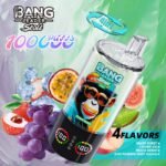 Bang Leader Stoll 100K 3w1 - zdjęcie produktu i warianty smakowe