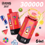 Bang Leader Stoll 300K 6w1 - zdjęcie produktu i warianty smakowe